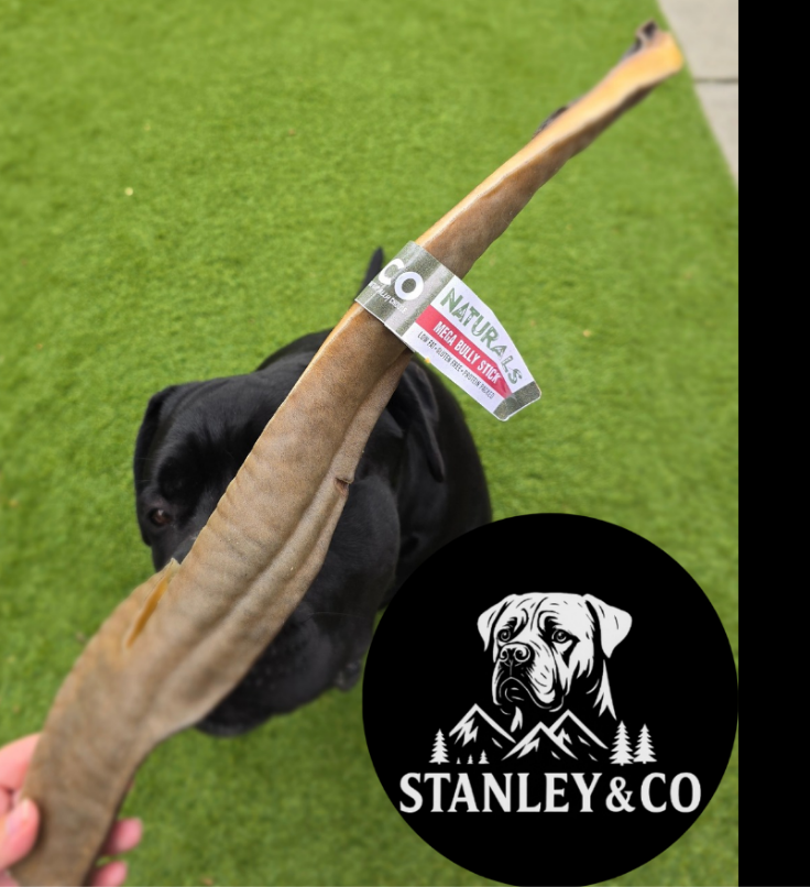 Giant Bully Stick