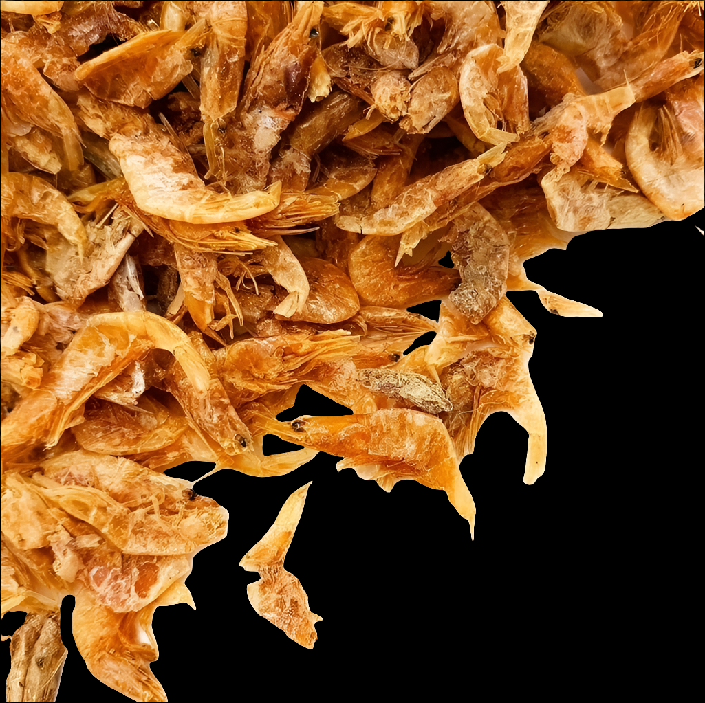 Dried Shrimp