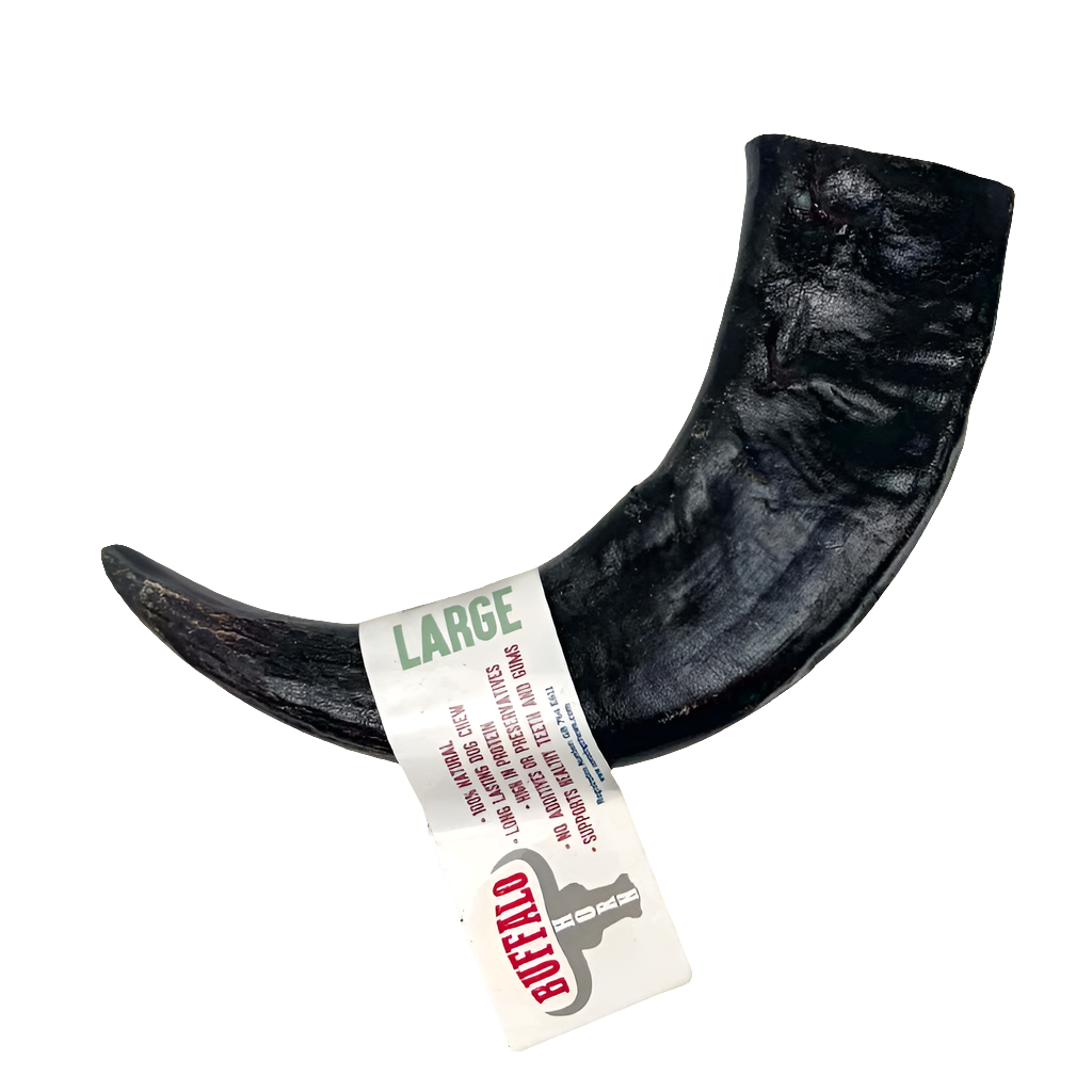 Buffalo Horn