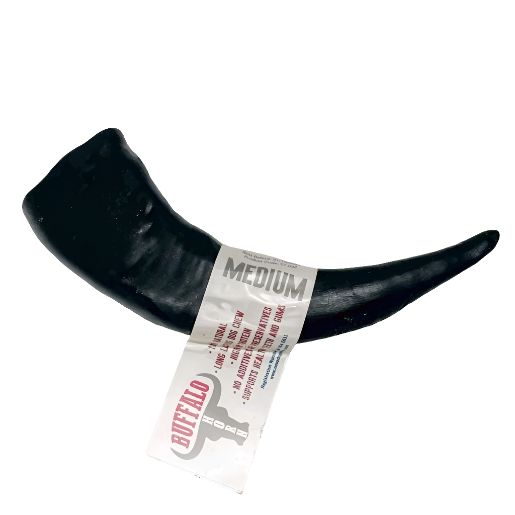 Buffalo Horn