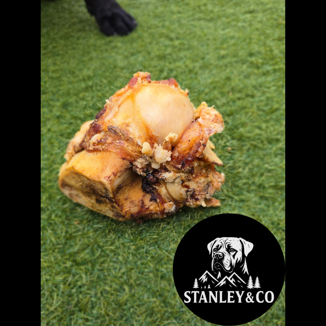 Roasted Knuckle Bone Long Lasting Natural Dog Treat