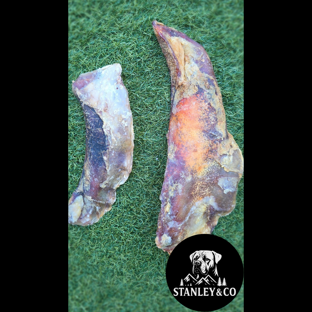 Moon Bone (Beef Cartilage)