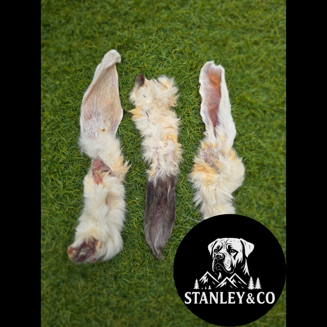 Hairy Rabbit Ears