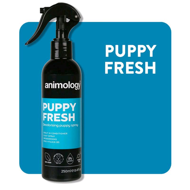 Animology No Rinse Dog Shampoo Spray 250ml