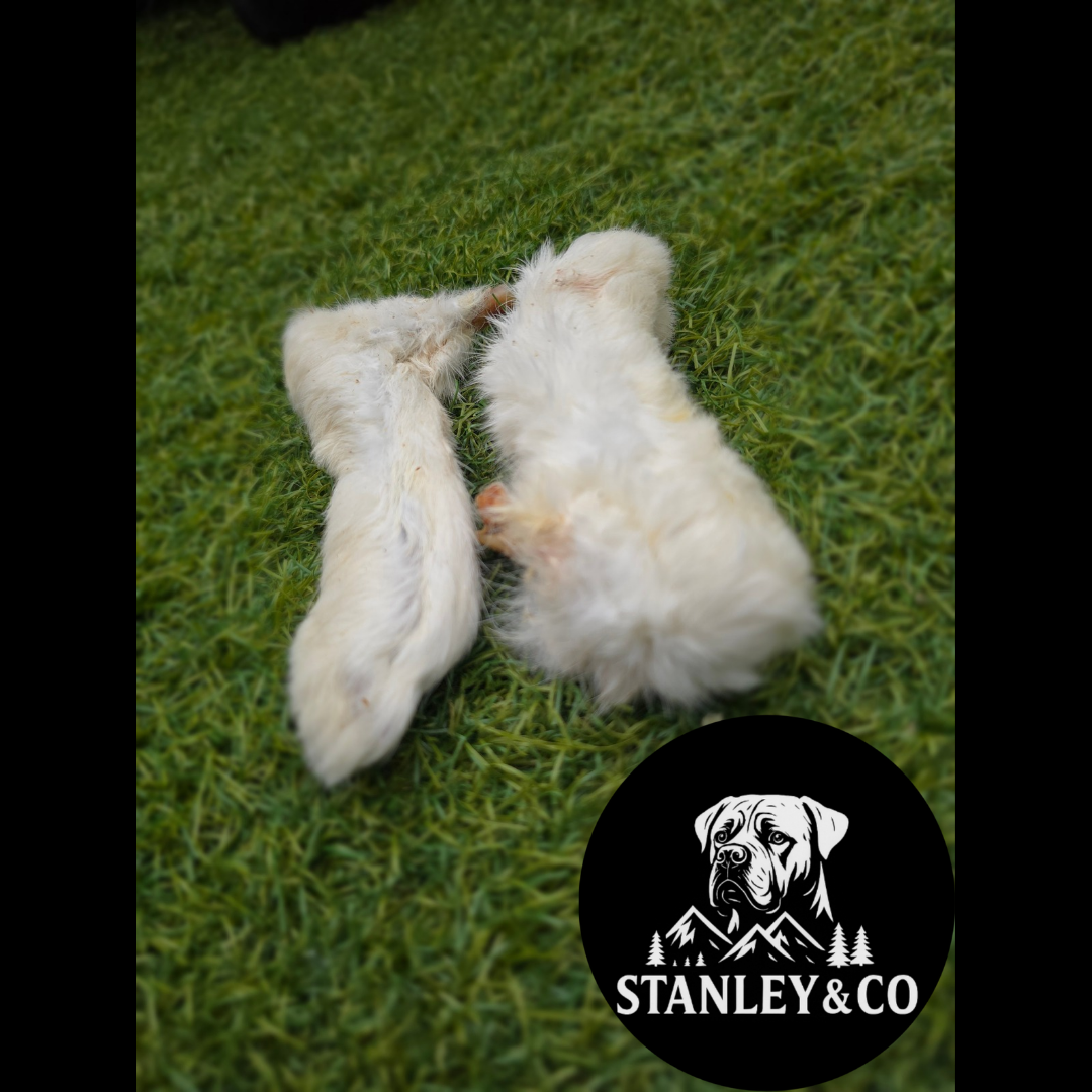 Rabbit Feet - Various Pack Sizes