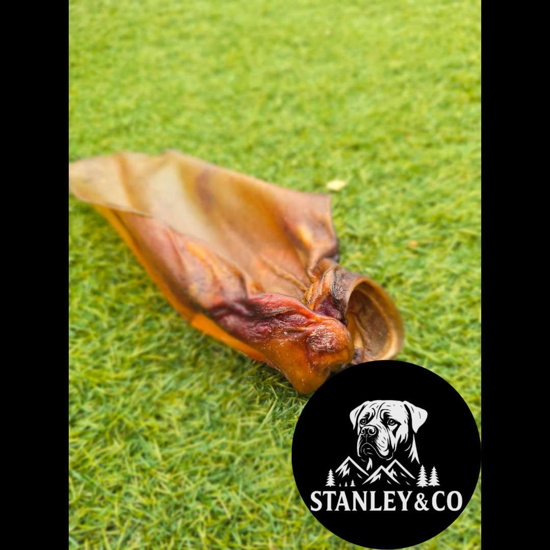 Buffalo Ear