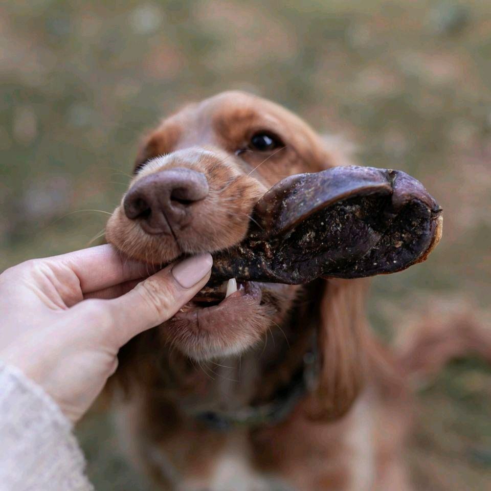 Beef Danglers