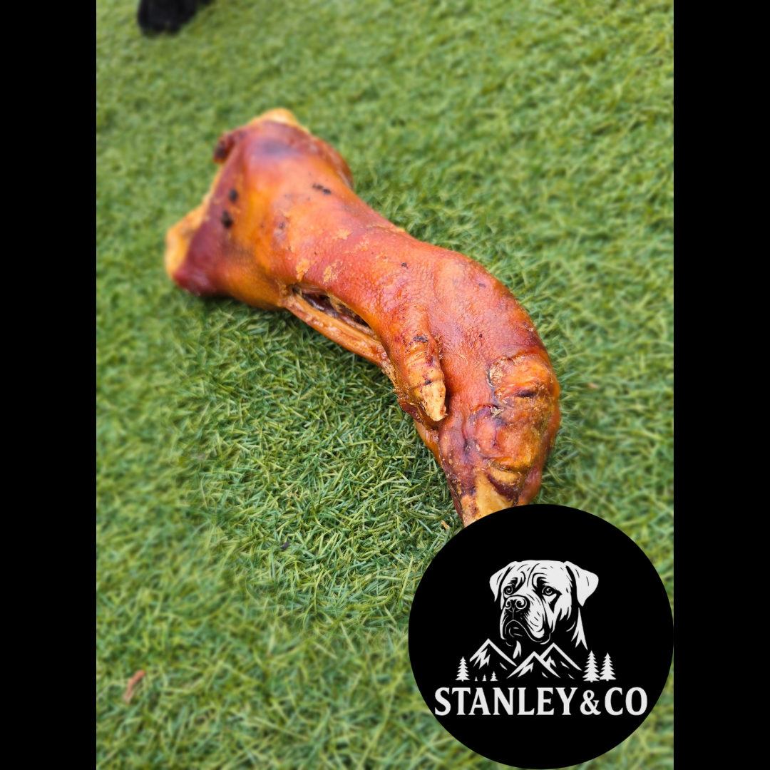 Large Pig Trotter