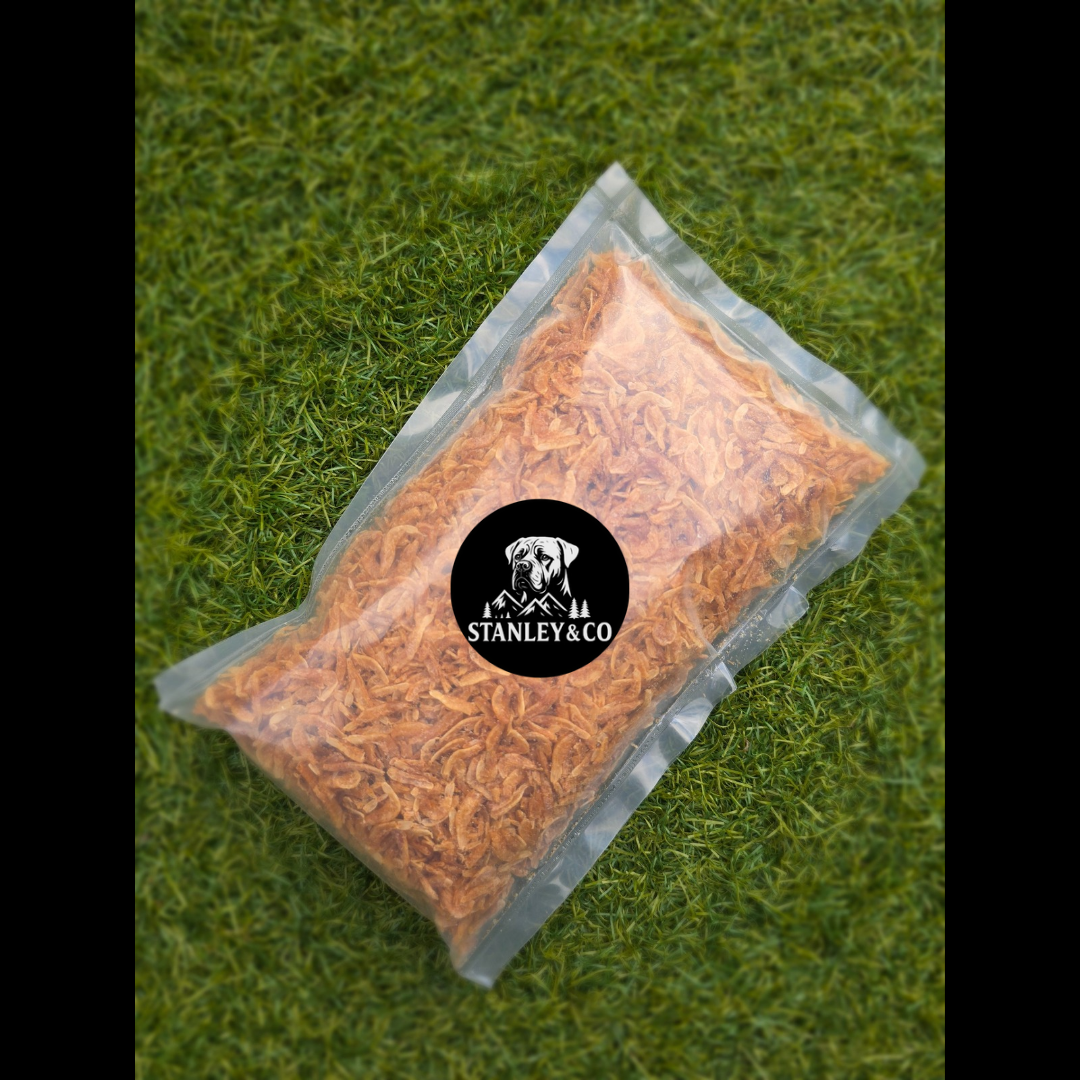 Dried Shrimp