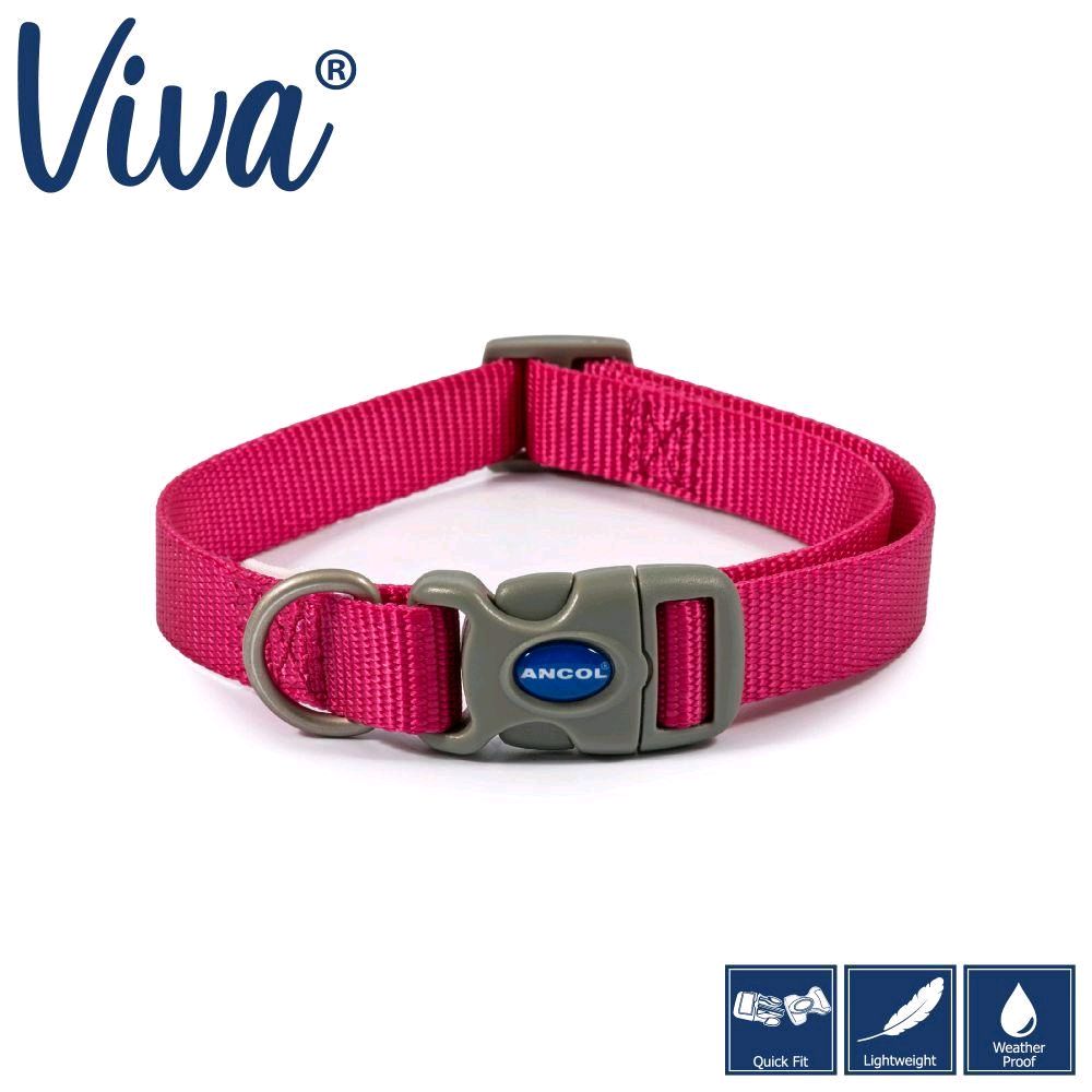 Dog Collars - Choose from Patterns or Plain Designs