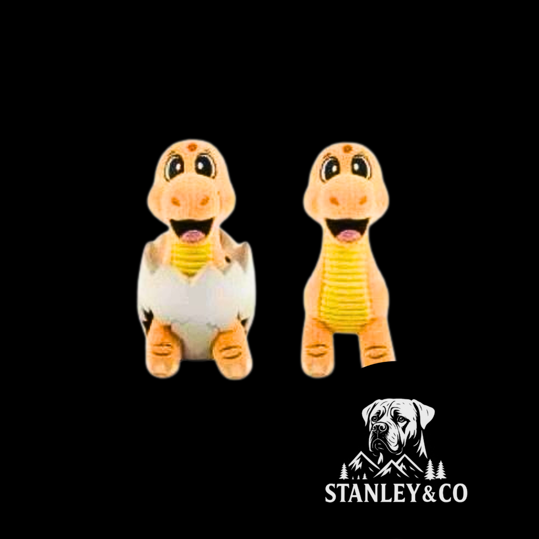 Egg & Animal