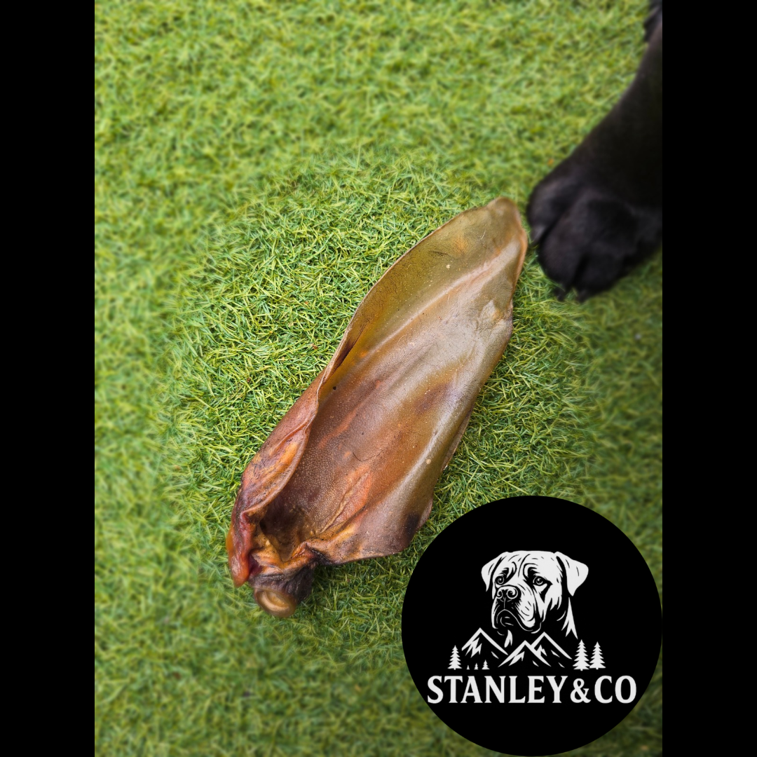 Buffalo Ear