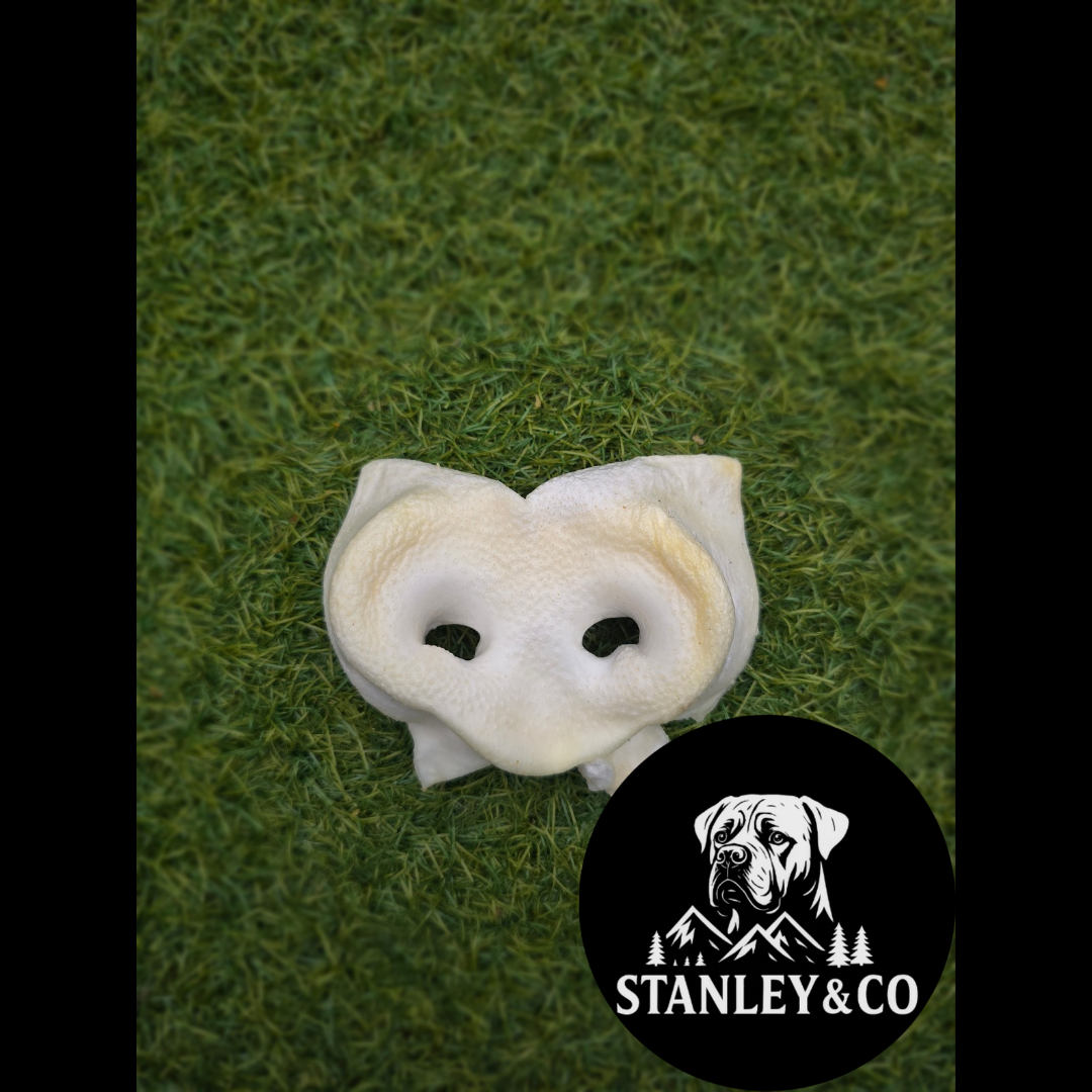 Puffed Pig Snout