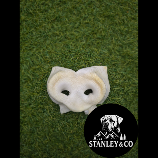 Puffed Pig Snout