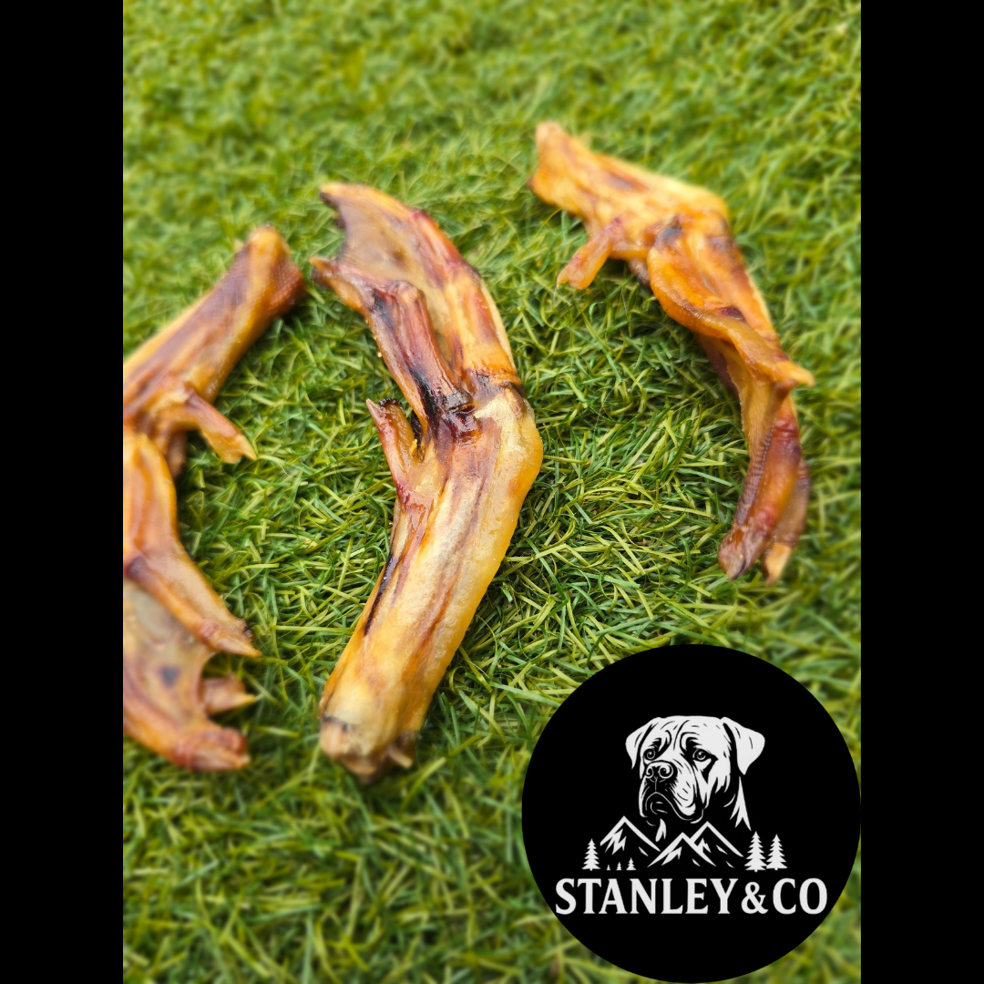 Duck Feet - Various Pack Sizes