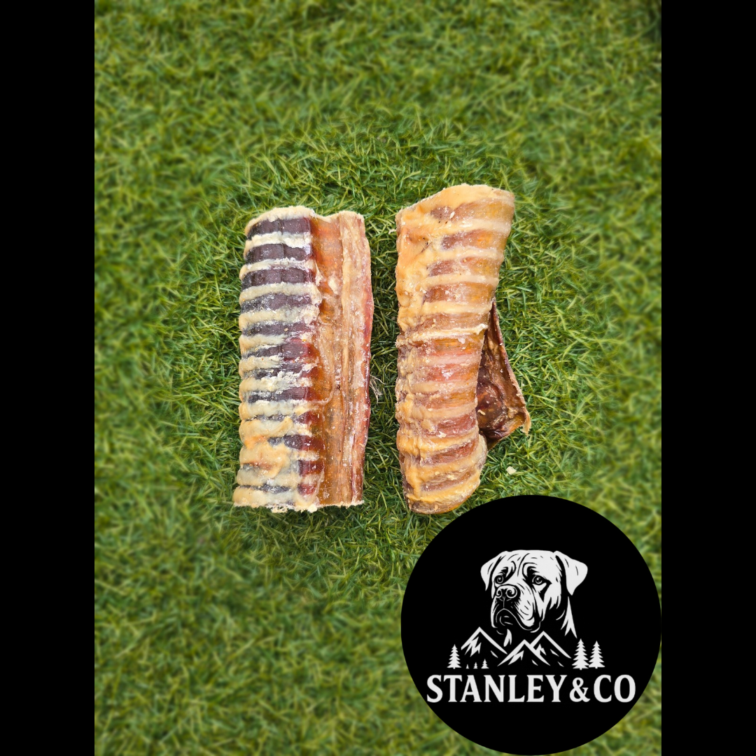 Beef trachea 12cm/30cm