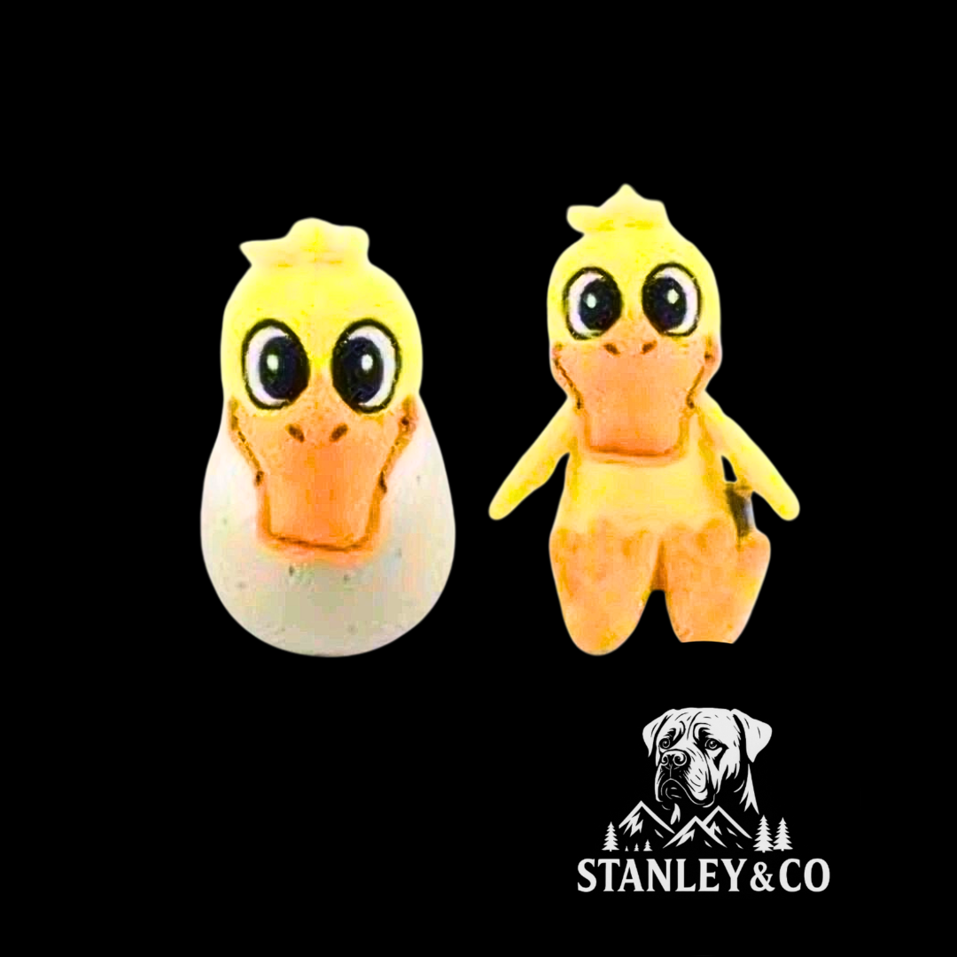 Egg & Animal