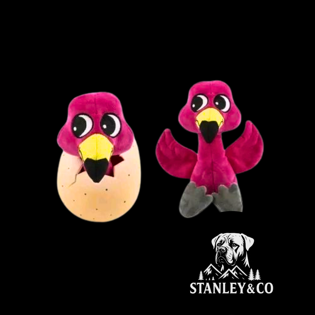 Egg & Animal