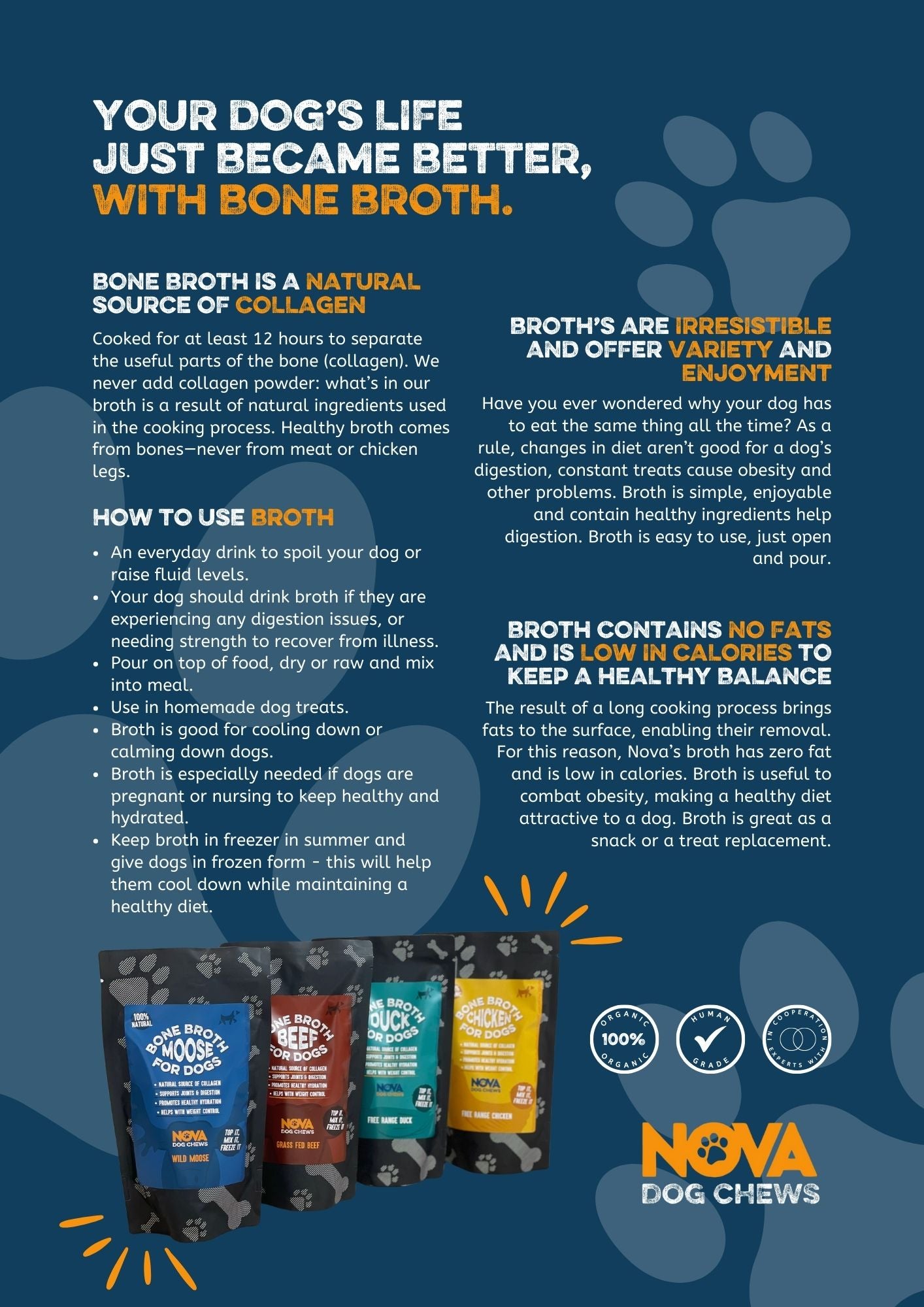 Duck Bone Broth