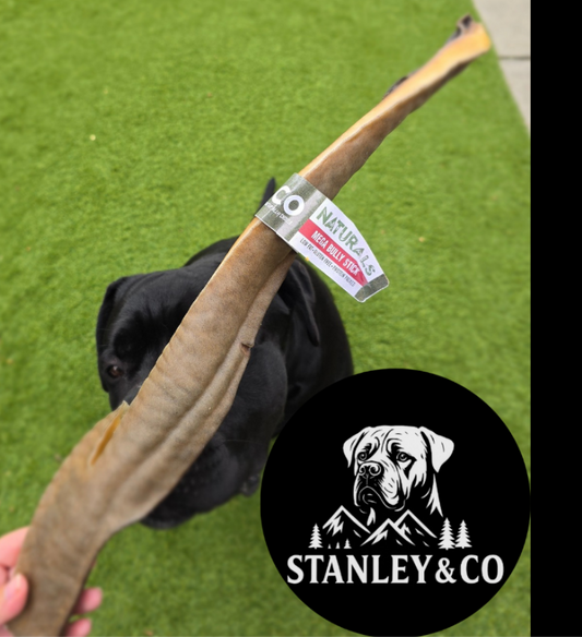 Giant Bully Stick