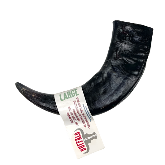 Buffalo Horn