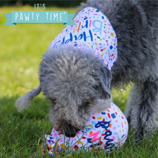 Pawty Balloon Dog Toy