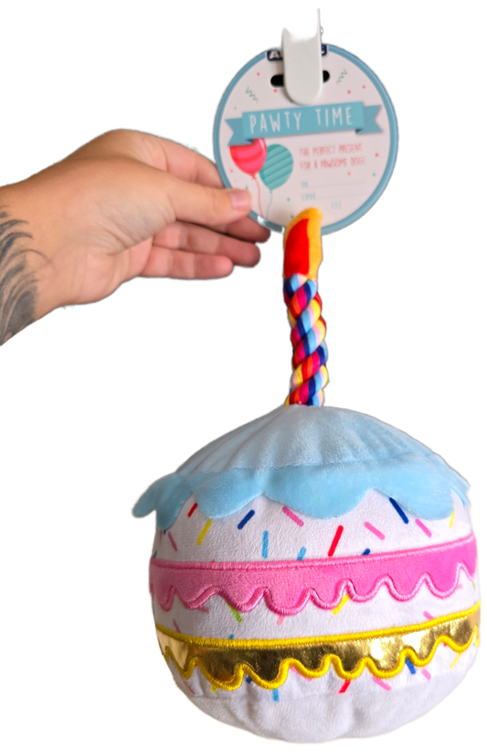 Pawty Cake Dog Toy