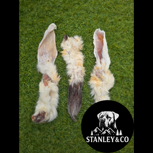 Hairy Rabbit Ears