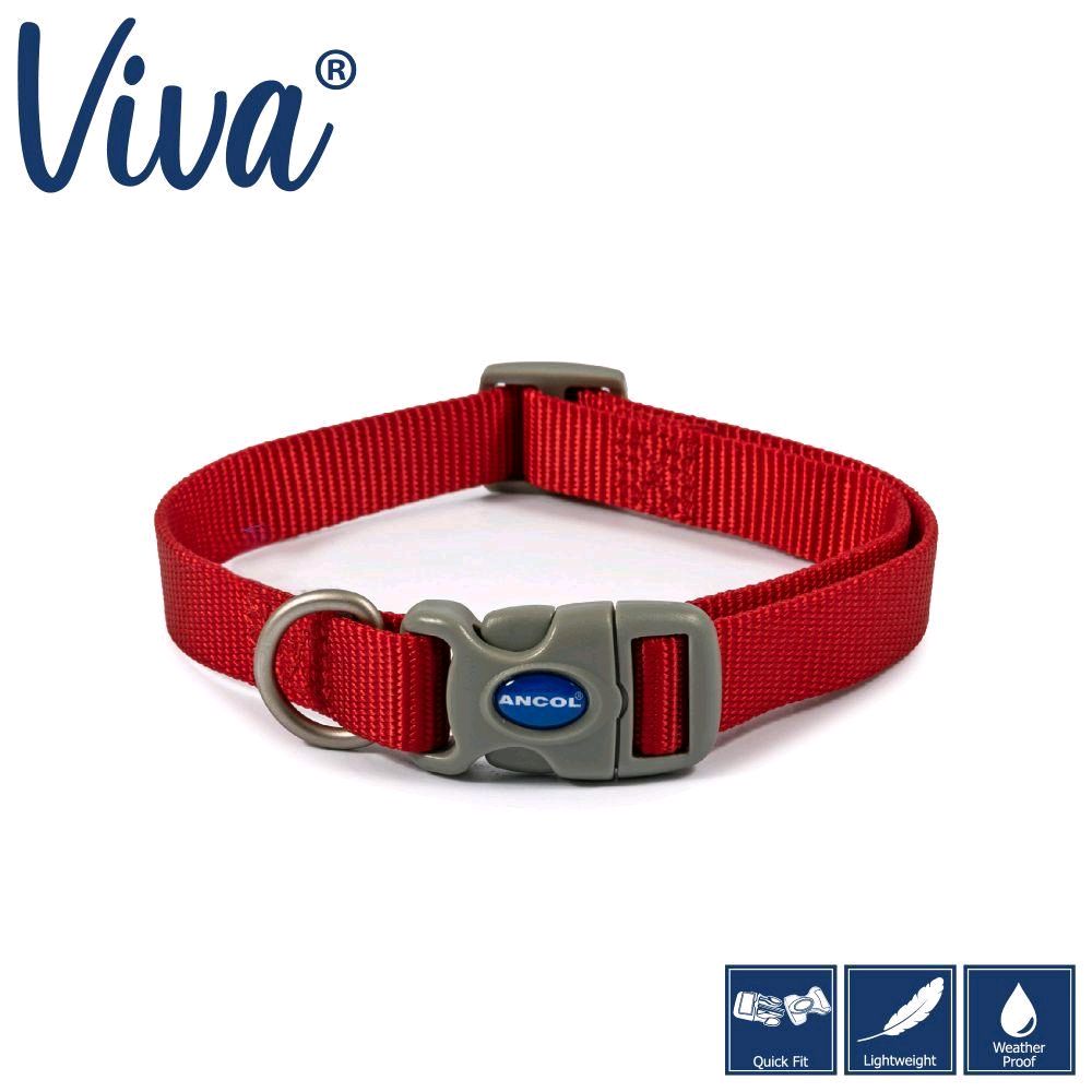 Dog Collars - Choose from Patterns or Plain Designs