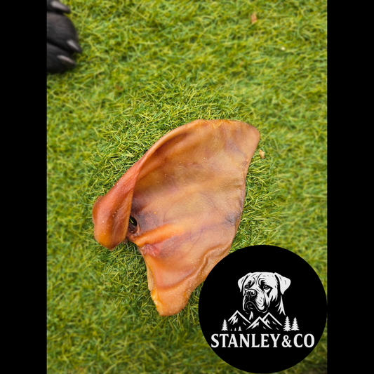 Pig Ear