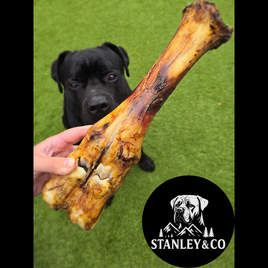 Beef Leg Bone
