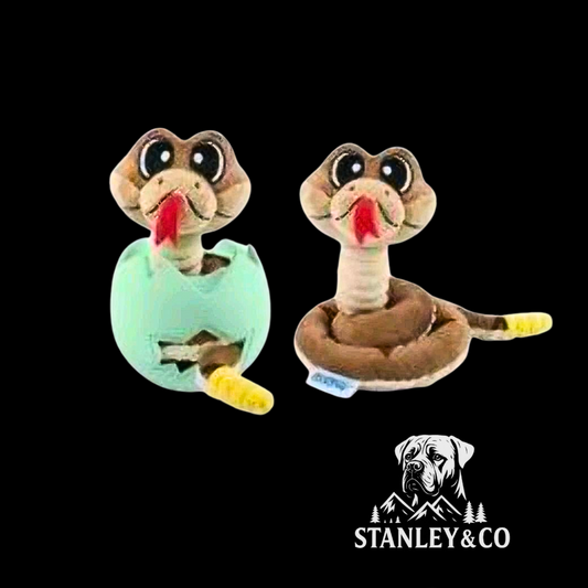 Egg & Animal