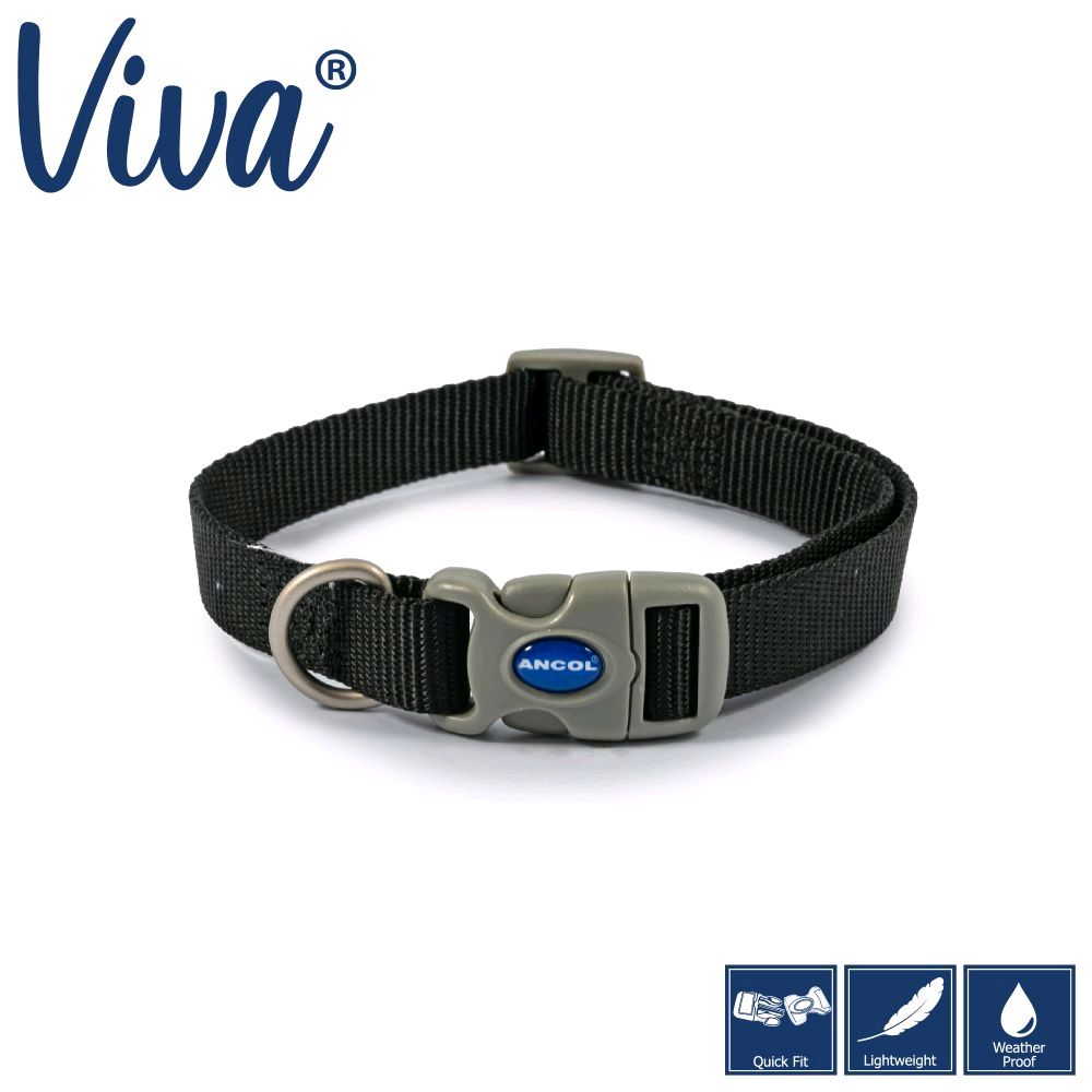 Dog Collars - Choose from Patterns or Plain Designs