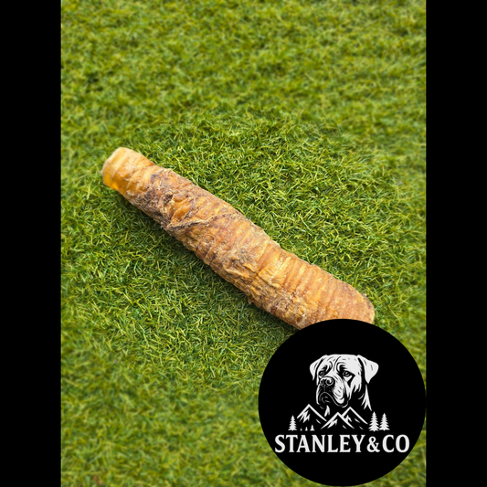 Buffalo trachea