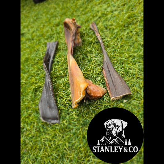 Camel Skin 50g