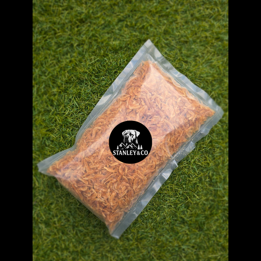 Dried Shrimp