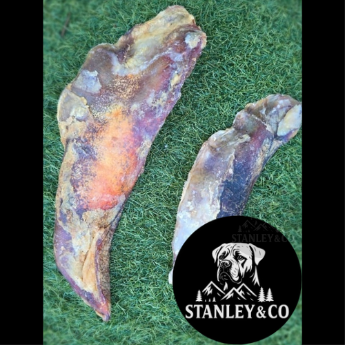 Moon Bone (Beef Cartilage)