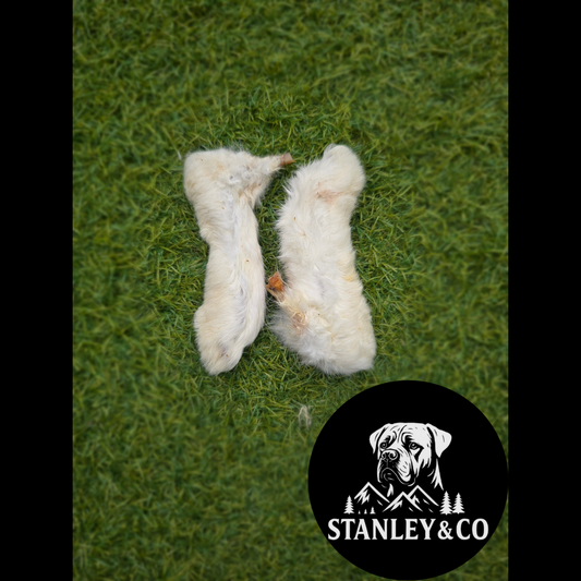 Rabbit Feet - Various Pack Sizes