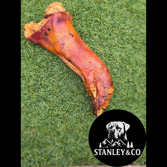 Large Pig Trotter