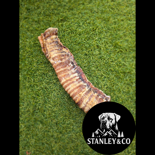 Beef trachea 12cm/30cm