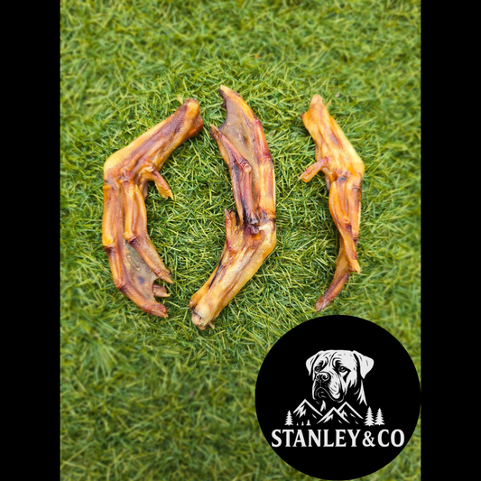 Duck Feet - Various Pack Sizes