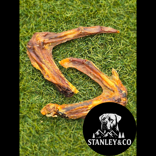 Duck Wing - Various Pack Sizes
