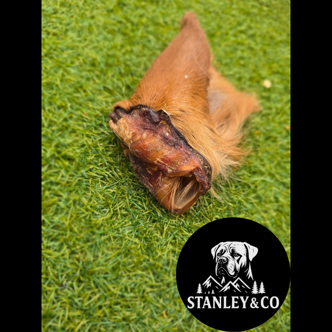 Hairy Cow Ears